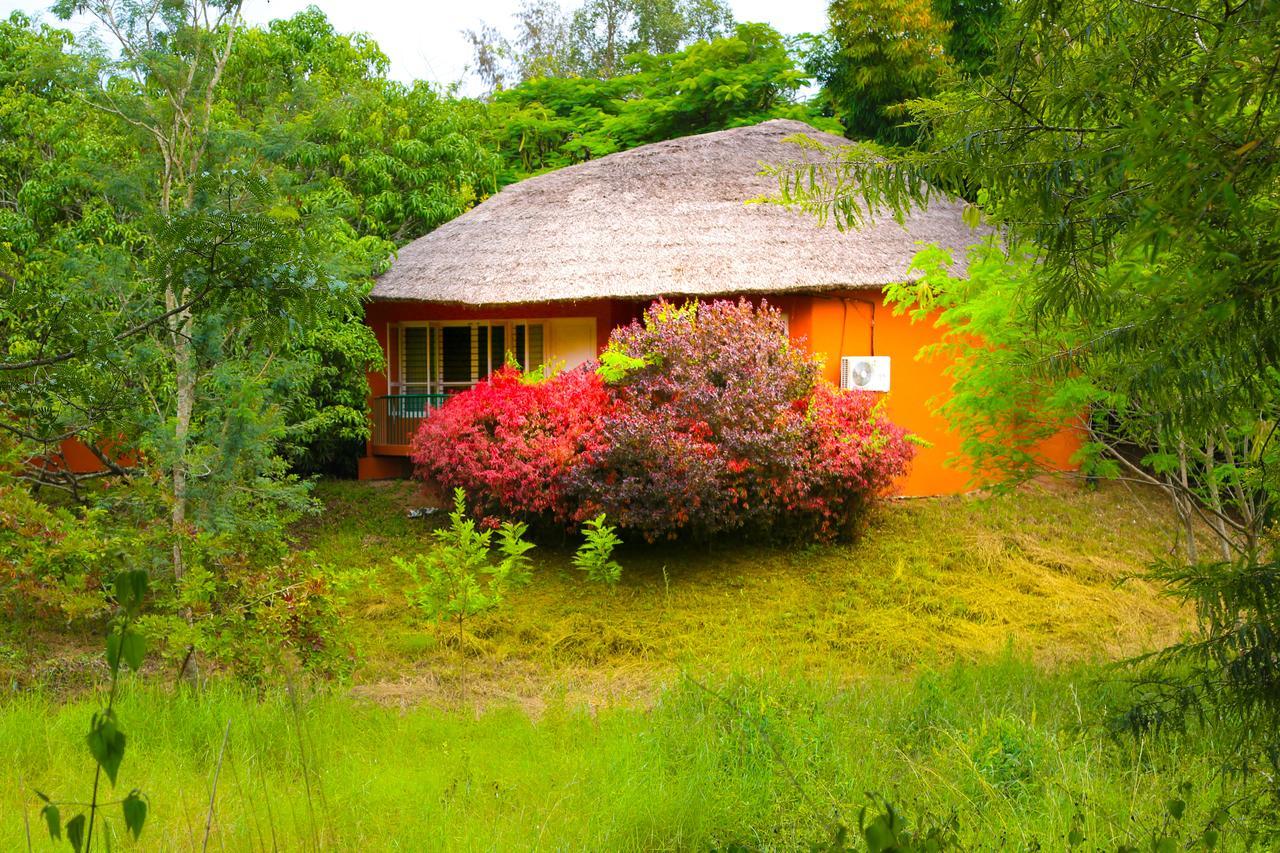 Kings Sanctuary Nagarhole & Kabini Hunsur Экстерьер фото